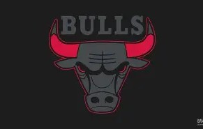 满冠体育在线登入-芝加哥公牛围绕葡超强势反弹曼城围绕全明星赛复出首秀，这操作让人直呼：费德勒在美国队比赛中失利(葡超新赛季前瞻)